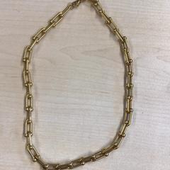 Halsband, rapporterat av Gemeente Nijmegen med iLost