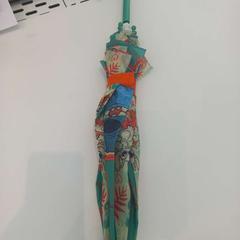 Ombrello, come riportato da Arriva Limburg Zuid utilizzando iLost