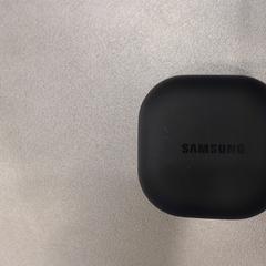 Samsung buds 2, as reported by Walibi Holland using iLost