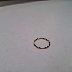 반지 met kleine steentjes, iLost를 사용하여 Rijksmuseum van Oudheden에 보고됨