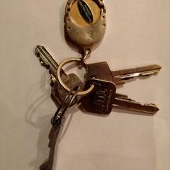 sleutelbos, ako bolo nahlásené iLost