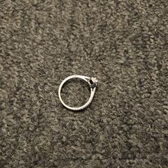 Anel, segundo informou Ramada by Wyndham Amsterdam Airport Schiphol usando iLost