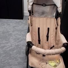 Stroller Beige, as reported by Qbuzz Fryslân using iLost