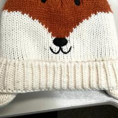 Muts Vos, zoals gemeld door Burgers' Zoo met iLost