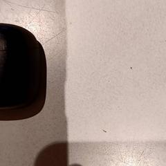 Earpods, a été signalé par De Efteling utilisant iLost