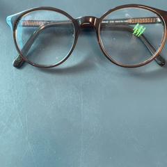 Ulleres Bruin, segons ha informat Burgers' Zoo mitjançant iLost