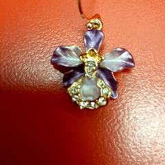 Náušnica, ako bolo nahlásené UvA REC pomocou iLost