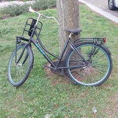 Sykkel Zwart,Groene letters/Frame Altec, som rapportert av Fietsdepot Meierijstad ved bruk av iLost