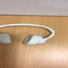 Headphones, as reported by Qbuzz U-OV using iLost