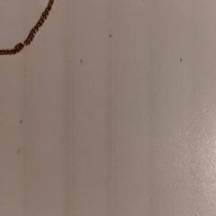 Karkötő, amint azt De Efteling az iLost segítségével jelentette.