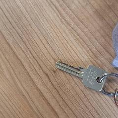 المفاتيح (متنوعة)، كما تم الإبلاغ عنه بواسطة Connexxion Haarlem AML عبر iLost