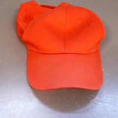 Gorra, ha sido reportado por Diergaarde Blijdorp con iLost