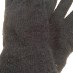 Handskar Zwart, rapporterat av Qbuzz Fryslân med iLost