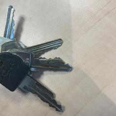 Sleutels, zoals gemeld door Arriva Achterhoek-Rivierenland met iLost