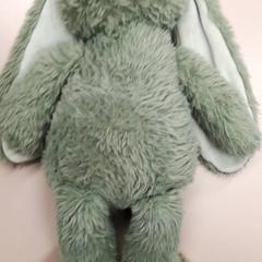 Knuffel Groen konijn, zoals gemeld door Burgers' Zoo met iLost