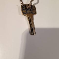 İLost kullanarak IJsselland Ziekenhuis tarafından bildirildiği gibi Anahtar