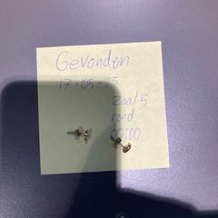 Oorbellen، كما تم الإبلاغ عنه بواسطة Pathé Tilburg Stappegoor عبر iLost