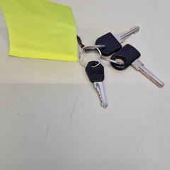 キーホルダー がiLostで Transdev Gooi en Vechtstreek によって報告されました