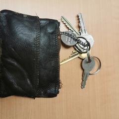 Sleutelbos, rapporterat av Gemeente Zutphen med iLost