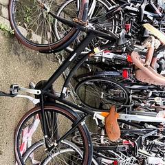 Dámské kolo madeline, jak nahlášeno Stadswerk072 pomocí iLost