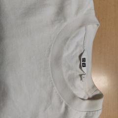 Tshirt, as reported by The Dominican using iLost