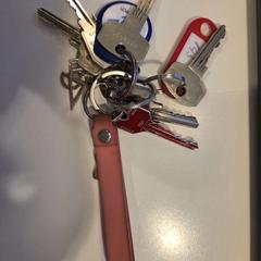 Keychain, as reported by Gemeente Meierijstad(Paaspop) using iLost