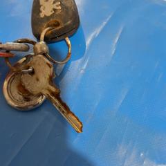 鍵 がiLostで Gemeente Wijk bij Duurstede によって報告されました