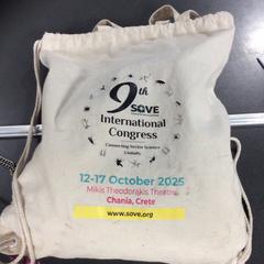 Sac, a été signalé par Breng Nijmegen utilisant iLost