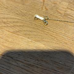 Collar, ha sido reportado por Designer Outlet Roermond con iLost