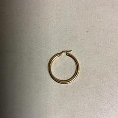 Ørering, som rapportert av Artis ved bruk av iLost