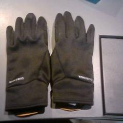 Gloves, as reported by SnowWorld Landgraaf using iLost