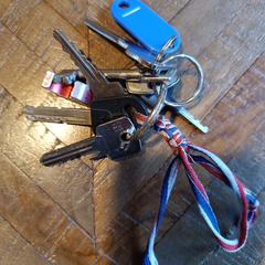 Sleutelbos, amint azt az iLostnak jelentették.