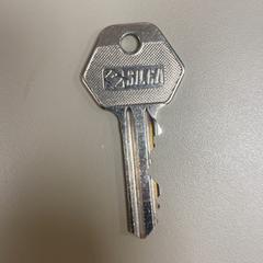 Sleutel, zoals gemeld door Pathé Schiedam met iLost