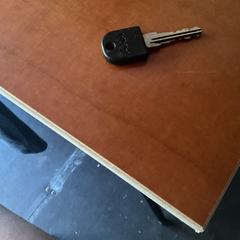 Key AXA fietsensleutel, as reported by Pinkpop using iLost