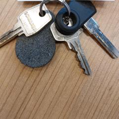 Sleutelbos، كما تم الإبلاغ عنه بواسطة RRReis Trein Amersfoort / Ede-Wageningen عبر iLost