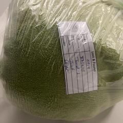 Beach towel, como reportado por Silver Sands Beach utilizando o iLost