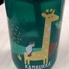 Bottle, as reported by IKEA Gent using iLost