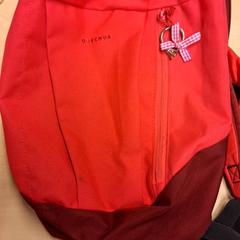 Bag, as reported by RET using iLost