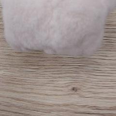 Varie, come riportato da Regio Antwerpen - Brussel utilizzando iLost