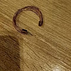 Ohrring, gemeldet von Van der Valk Hotel Apeldoorn - De Cantharel über iLost