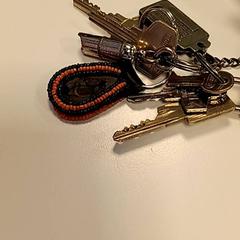 المفاتيح، كما تم الإبلاغ عنه بواسطة U-OV Amersfoort عبر iLost