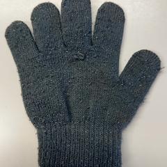 Guanto Grijs met glitters, come riportato da Burgers' Zoo utilizzando iLost