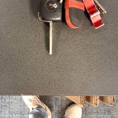 Clef de voiture, a été signalé par Breng Nijmegen utilisant iLost