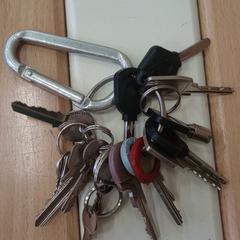 Sleutelbos, som rapportert til iLost