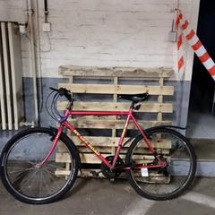 Men’s bike nv offroad Roze, as reported by Fietsdepot Hasselt using iLost