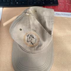 Gorra, ha sido reportado por Haven Hotel Rotterdam con iLost