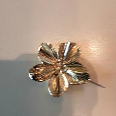 Brosje Goudkleurig, som rapportert av LUMC ved bruk av iLost