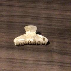 Hair clip, as reported by Van der Valk Hotel Zwolle using iLost