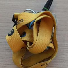 Key cord, as reported by Arriva West-Brabant using iLost