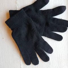 Guants Zwart, segons ha informat DierenPark Amersfoort mitjançant iLost